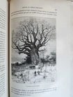 1885 AFRICA EXPLORATION VOYAGE SOUDAN FRANCAIS Haut-Niger antique ILLUSTRATED - 9