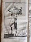 1704 ANATOMY MUSCLE TREATISE antique AMAZINGLY ILLUSTRATED - 12