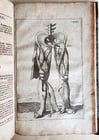 1704 ANATOMY MUSCLE TREATISE antique AMAZINGLY ILLUSTRATED - 5
