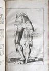 1704 ANATOMY MUSCLE TREATISE antique AMAZINGLY ILLUSTRATED - 6