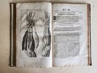 1704 ANATOMY MUSCLE TREATISE antique AMAZINGLY ILLUSTRATED - 7