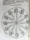 1574 ARISTOTLE 6 VOLS SET ILLUSTRATED antique VELLUM BINDINGS MANUSCRIPT SPINES - 14