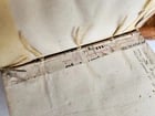 1574 ARISTOTLE 6 VOLS SET ILLUSTRATED antique VELLUM BINDINGS MANUSCRIPT SPINES - 5