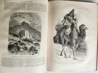 1877 HISTORY VOYAGES ILLUSTRATED antique COLOMBIA AFRICA MONGOLIA VIETNAM - 7