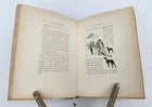 1883 ROMANTIC ADVENTURES of COUNT D'ARTOIS antique ILLUSTRATED fine binding - 5