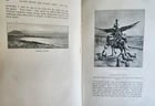 1893 Alone with Hairy Ainu Cruise to Kurile Islands antique ILLUSTRATED Japan - 4