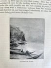 1893 Alone with Hairy Ainu Cruise to Kurile Islands antique ILLUSTRATED Japan - 5