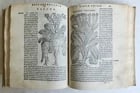 1561 PHARMACOPEIA ILLUSTRATED MEDICAL PLANTS by SANSOVINO antique 16th CENTURY - 12