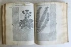 1561 PHARMACOPEIA ILLUSTRATED MEDICAL PLANTS by SANSOVINO antique 16th CENTURY - 14