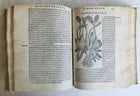 1561 PHARMACOPEIA ILLUSTRATED MEDICAL PLANTS by SANSOVINO antique 16th CENTURY - 16
