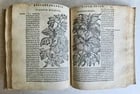 1561 PHARMACOPEIA ILLUSTRATED MEDICAL PLANTS by SANSOVINO antique 16th CENTURY: Title: 1561 PHARMACOPEIA ILLUSTRATED MEDICAL PLANTS by SANSOVINO antique 16th CENTURY Description: DELLA MATERIA MEDICINALE libri quattro (four books on medicinal mattrer) by Sansovino, Francesco