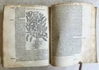 1561 PHARMACOPEIA ILLUSTRATED MEDICAL PLANTS by SANSOVINO antique 16th CENTURY - 4