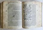 1561 PHARMACOPEIA ILLUSTRATED MEDICAL PLANTS by SANSOVINO antique 16th CENTURY - 7