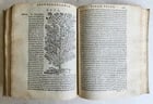 1561 PHARMACOPEIA ILLUSTRATED MEDICAL PLANTS by SANSOVINO antique 16th CENTURY - 8