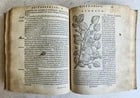 1561 PHARMACOPEIA ILLUSTRATED MEDICAL PLANTS by SANSOVINO antique 16th CENTURY - 9