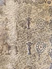 1788 BIBLE in GERMAN ILLUSTRATED antique MASSIVE PIGSKIN BOUND FOILIO - 5