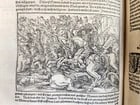 1590 FLAVIUS JOSEPHUS ILLUSTRATED JEWISH HISTORY antique MASSIVE FOLIO JUDAICA - 16
