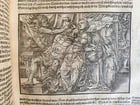 1590 FLAVIUS JOSEPHUS ILLUSTRATED JEWISH HISTORY antique MASSIVE FOLIO JUDAICA - 9