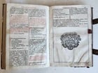 1743 MISSALE ROMANUM antique NICELY DECORATED FOLIO illustrated - 12