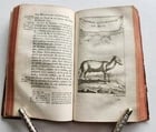1751 HISTOIRE des VOYAGES VOL. 36 antique illustrated TRAVELS to INDIA - 6