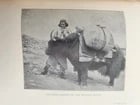 1900 IN ICE WORLD of HIMALAYA antique ILLUSTRATED Ladakh Nubra Sura Baltidstan - 6