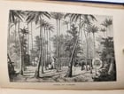 1884 THE FRENCH in INDO CHINA antique ILLUSTRATED - 11