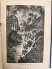 1884 THE FRENCH in INDO CHINA antique ILLUSTRATED - 16