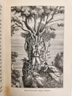 1884 THE FRENCH in INDO CHINA antique ILLUSTRATED - 6