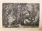 1884 THE FRENCH in INDO CHINA antique ILLUSTRATED - 7