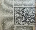 1563 BIBLE in LATIN antique ILLUSTRATED 16th century BIBLIA - 14
