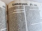 1533 POST-INCUNABULA EXPLANATION of PSALMS by Perez de Valentia antique FOLIO - 13