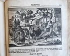 1702 Oeconomus prudens ILLUSTRATED 2 FOLIO VOLUMES antique in GERMAN - 10