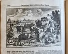 1702 Oeconomus prudens ILLUSTRATED 2 FOLIO VOLUMES antique in GERMAN - 13