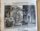 1702 Oeconomus prudens ILLUSTRATED 2 FOLIO VOLUMES antique in GERMAN - 14