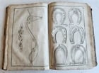 1702 Oeconomus prudens ILLUSTRATED 2 FOLIO VOLUMES antique in GERMAN - 15