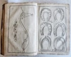 1702 Oeconomus prudens ILLUSTRATED 2 FOLIO VOLUMES antique in GERMAN - 3
