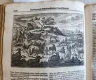 1702 Oeconomus prudens ILLUSTRATED 2 FOLIO VOLUMES antique in GERMAN - 4
