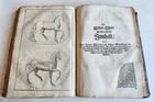 1702 Oeconomus prudens ILLUSTRATED 2 FOLIO VOLUMES antique in GERMAN - 9