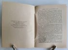1925 DAKOTA INDIAN LANGUAGE LIFE of ST. PAUL antique AMERICANA ILLUSTRATED MAPS - 7