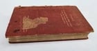 1904 Through Town & Jungle 14,000 Miles A-Wheel ... INDIA ILLUSTRATED antique - 5
