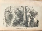 1859 DARING & HEROIC DEEDS of AMERICAN WOMEN antique ILLUSTRATED AMERICANA - 4