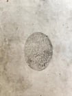 1581 HISTORIAE ECCLESIASTICAE SCRIPTORE GRAECI antique VELLUM BOUND FOLIO 16th C - 7