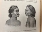1885 Naturalist's Wanderings in the Eastern Archipelago antique Java Sumatra - 14