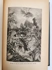1885 Naturalist's Wanderings in the Eastern Archipelago antique Java Sumatra - 15