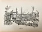 1885 Naturalist's Wanderings in the Eastern Archipelago antique Java Sumatra - 16