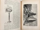 1885 Naturalist's Wanderings in the Eastern Archipelago antique Java Sumatra - 9