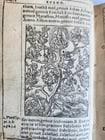 1542 BIBLE in LATIN ILLUSTRATED by Sebald Beham antique RARE POCKET SIZE BIBLIA - 3