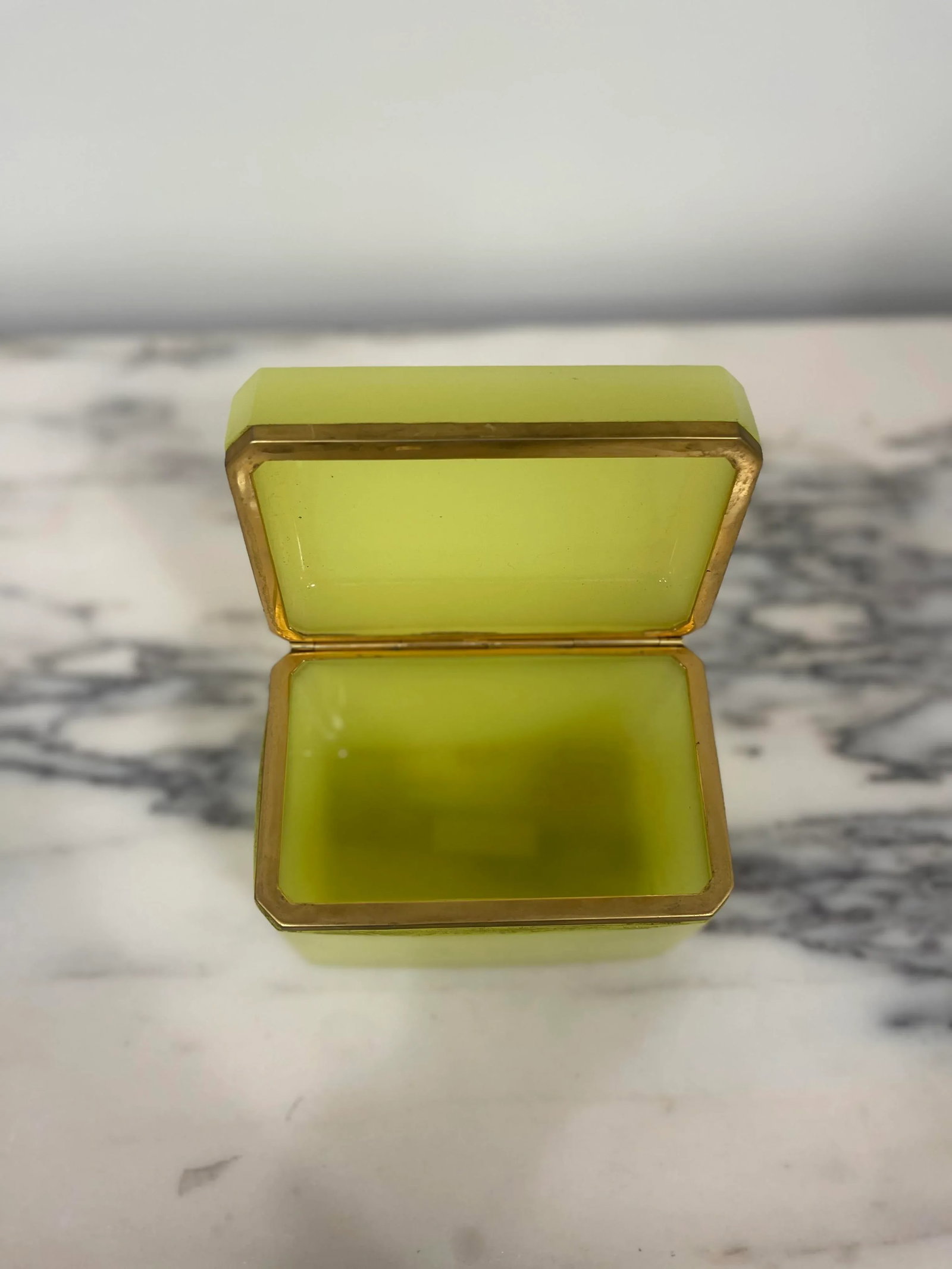 19th Century Antique Rectangular Opaline Glass Casket Box With Bronze Mounts - 4