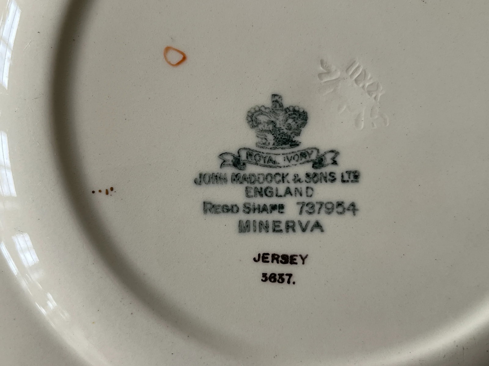 1920s-30s John Maddock & Sons "Minerva" Fruit & Floral Printed Ceramic Luncheon Plates- Set of 4 - 5