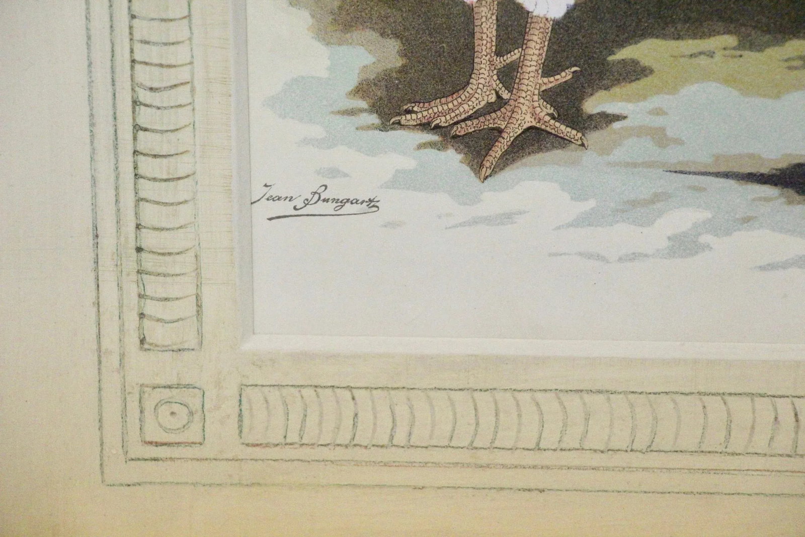 Antique German Framed Chicken Print - 5
